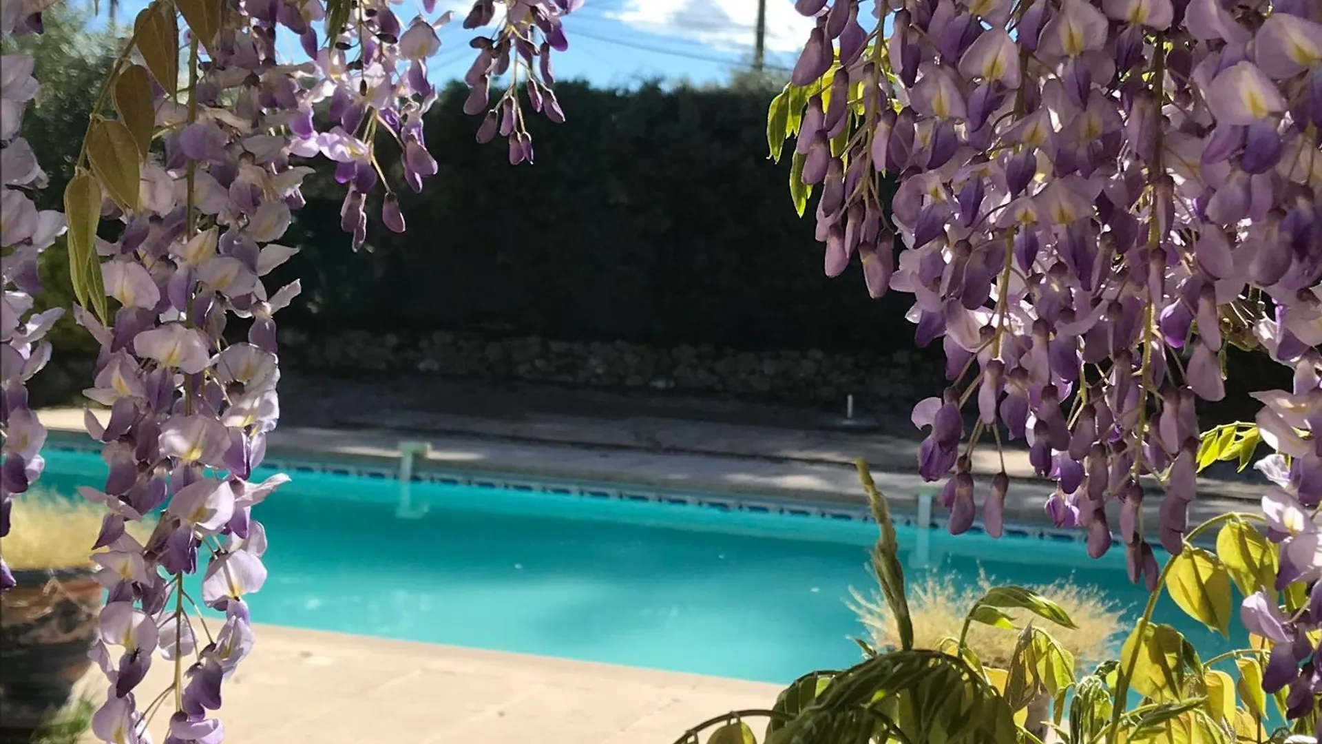 Maison d'hôtes Hotel Le Patio Fleuri à Lorgues